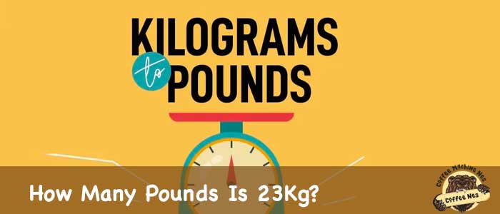 How Many Pounds Is 23 Kg